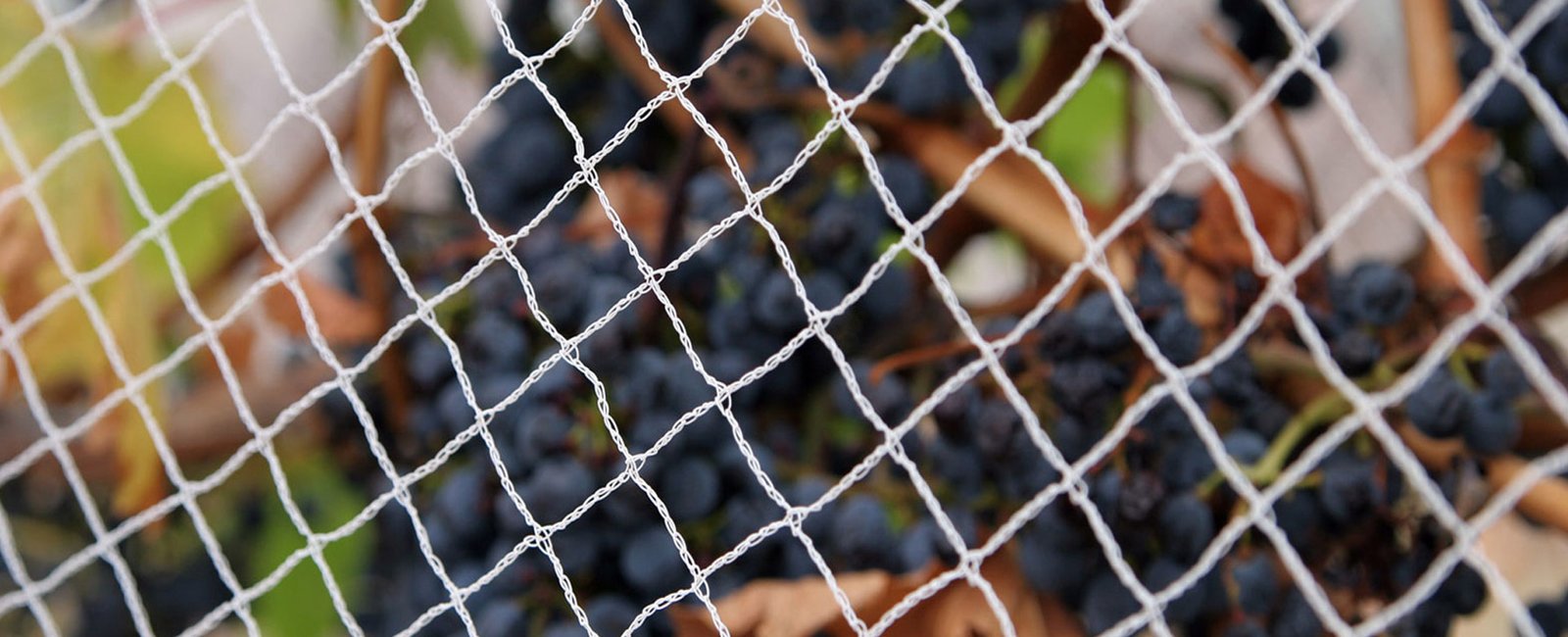 Mauli Bird Netting in Pune